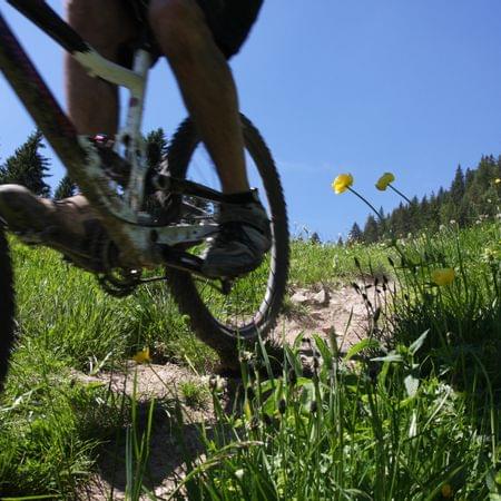 Mountain bike routes in Vorarlberg